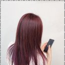 리안헤어하버뷰점
