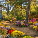 파주테라펜션A 이미지