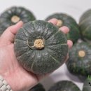 금메달농장 이미지