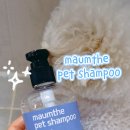 강아지 마음 | 마음더 펫샴푸 후기, 강아지샴푸 추천! 얼굴까지 안심 미니비숑샴푸 🐶🫧