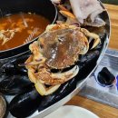 꽃빙 | 속초 장칼국수로 몸보신을? 속초 해물꽃장칼국수 맛집 후기