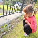 AI 어린이 영어 | 어린이영어 AI 포코로 6살딸 학습친구 외출할때도 챙겨요