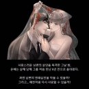 로맨스호프 네이버블로그