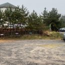 태안 만리포 글램핑 4월 7월 또간집 내돈내산 후기(꿀자리)