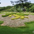 안면도자연휴양림 이미지