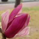 청암식당 이미지