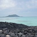 더예쁜소길초가 이미지