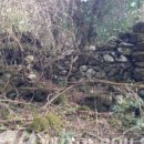 상산목장 이미지