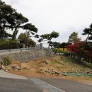 꼬리에 꼬리를 무는 문화유산 속 사람이야기 | 강화군 - 강화 홍릉, 강화 대산리 고인돌, 황형 묘, 강화 연미정