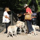 강북동물병원 이미지