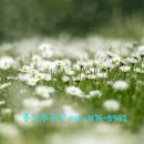 경남혜림학교 네이버블로그