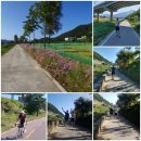 선남명가 이미지