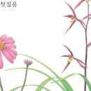 보태니컬 아트 초급 이미지