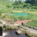 예래동-6 이미지