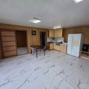 하늘애견 이미지