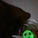 엔조이판다 이미지