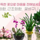 기프트메가