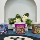 해피골드 | 하리보 해피그레이프 후기 골드베렌 스타믹스 할로윈 구디백 간식 추천