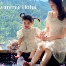 멕시카나농장 이미지