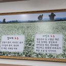 풍년옹심이메밀칼국수 이미지