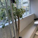 머리하는 날 이미지