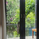 훈훈한약국 | Day5 뭄아러이, 농부악공원, 프란카페, 왓프라싱, 싱하랏 약국, 란쪽빠렉, 왓록몰리, 세븐일레븐 추천