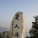 삼양농장 Daum카페