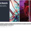 팀더블유 이미지