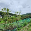 내남농장 이미지