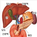 베스트간호학원 이미지