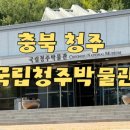국립청주박물관 | 청주 아이랑 가기 좋은 실내 나들이, 청주 국립박물관 솔직 후기