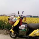 꽃보다 강쥐 이미지