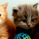 설은당구장 이미지