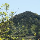 새동네목장 | 서산여행 가볼만한곳 서산 한우목장 웰빙산책로 주차정보 아이랑 가기좋은곳