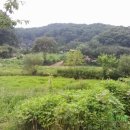 신씨네마을 이미지