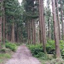 한라산둘레길 천아숲길 이미지