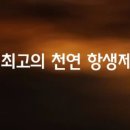 팜바이향 이미지