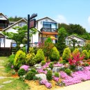 펜션갈까요 이미지