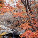 가지산 계곡 단풍 산행 (쇠점골 ~ 석남사계곡 ~ 학심이골) 이미지