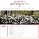 (주)자양 | 정읍 맛집 자양식당 황태찜 구절초축제 맛집 가볼만한곳 현지인 추천 내돈내산 솔직후기