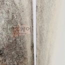 화성환경(주) | 화성 향남읍 구축아파트 곰팡이제거 탄성코트 시공 후기입니다