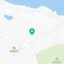 단독 dandog 이미지