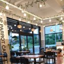 리프패럿진주점 | ((진주앵무새카페 리프패럿 진주점))