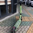 쌍용자동차일산동구 네이버블로그
