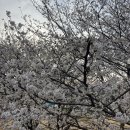 임신일기, 30주차 기록 / 백일해주사, 휴직시작, 허리통증