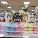 (주)이마트 동인천점 | 다이소 디즈니 신상 구경하기 좋은 곳, 다이소 이마트동인천점 캐릭터 후기