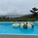 효니네 민박 | [숙소] 경주 효니네 민박 풀빌라 후기