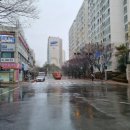 상안초교 이미지