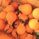 억대농장 이미지