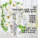 사랑해. 고마워. 미안해. 잘했어 말은/ 이미지 이미지